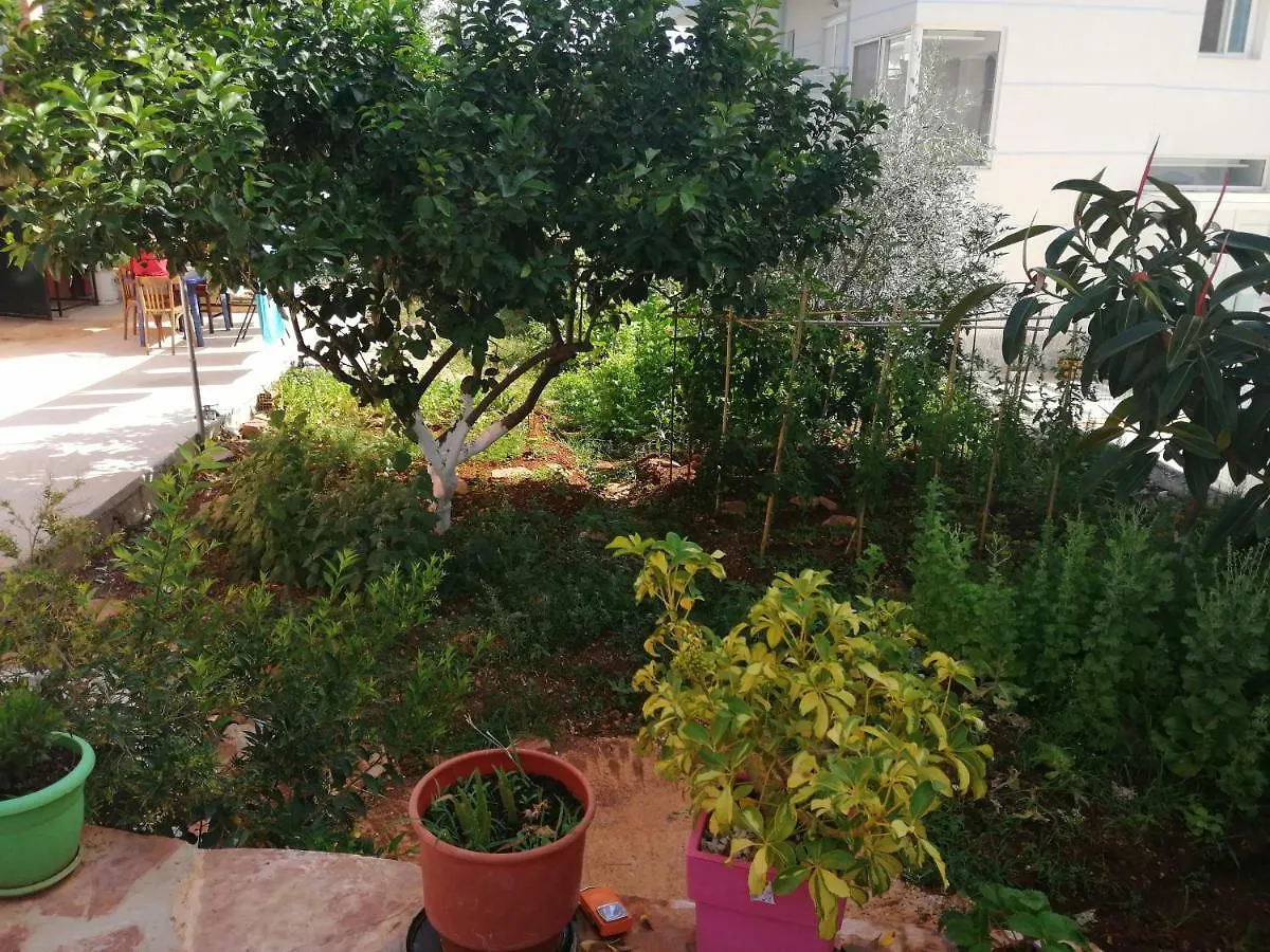 Helen'S House Διαμέρισμα Εξαμίλιο 0*,  Αλβανία